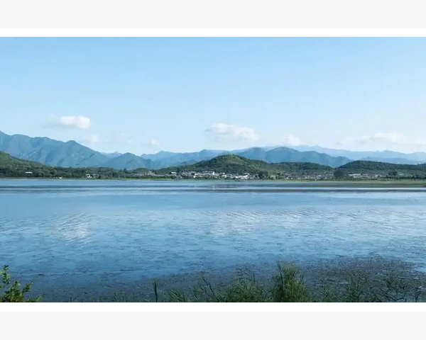 小孩脾胃不好吃什么菜好？
